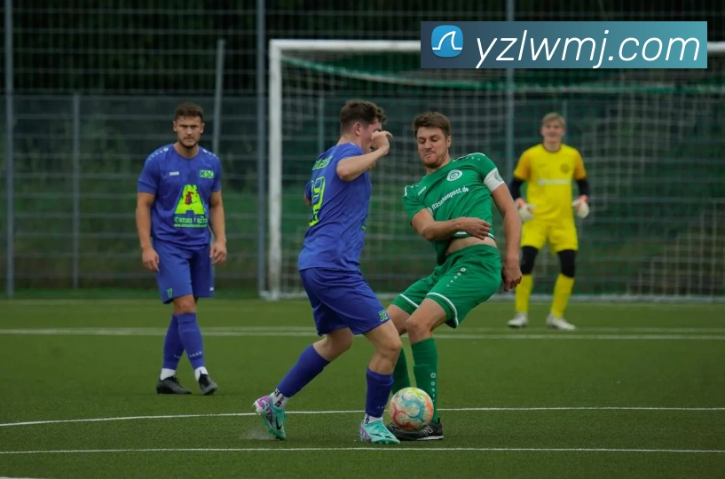 App Interface Preview