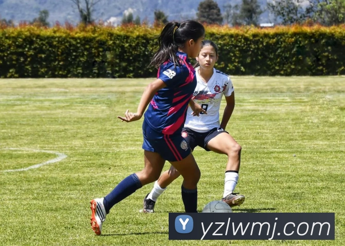 zoty中欧APP 封面图